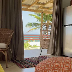 Apartment Casita Del Mar Oceanfront Romantic Retreat In Islote, Arecibo